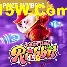 45B Com Plataforma Login